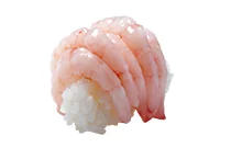 柴山港・浜坂港水揚げ 甘えび（5尾のせ）
