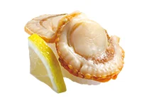 噴火湾産大粒ほたて