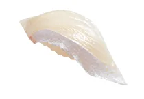 鹿児島県産 活〆とろ平政