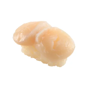 北海道産 ジャンボほたて貝柱